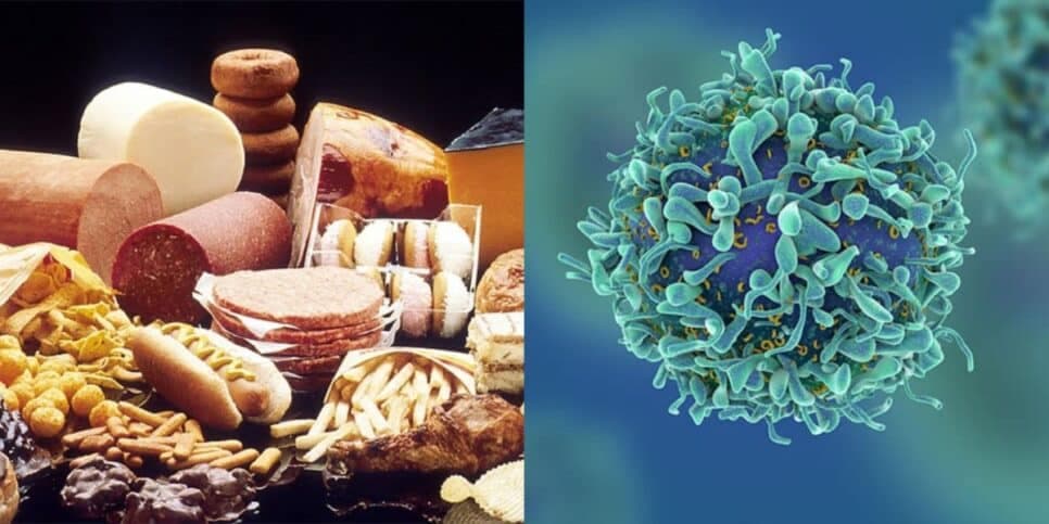 Especialista em câncer faz alerta máximo: 6 alimentos populares que devem ser BANIDOS da sua cozinha