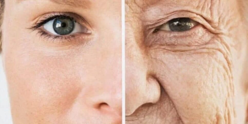 Basta 1 ingrediente pra rejuvenescer até 15 anos e ter o melhor colágeno natural - Foto: Internet Basta 1 ingrediente pra rejuvenescer até 15 anos e ter o melhor colágeno natural - Foto: Internet