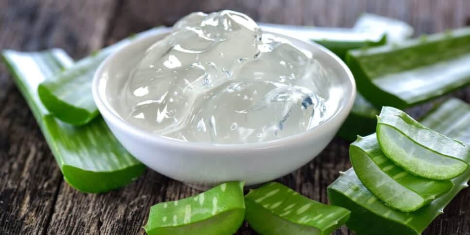 Cabelo, Babosa, Aloe Vera Cabelo, Babosa, Aloe Vera