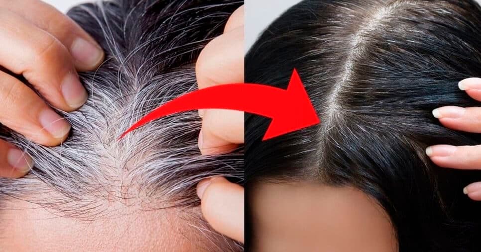 Acaba com o grisalho e hidrata os fios: Misturinha com 2 ingredientes salva as mulheres 50+ das tintas