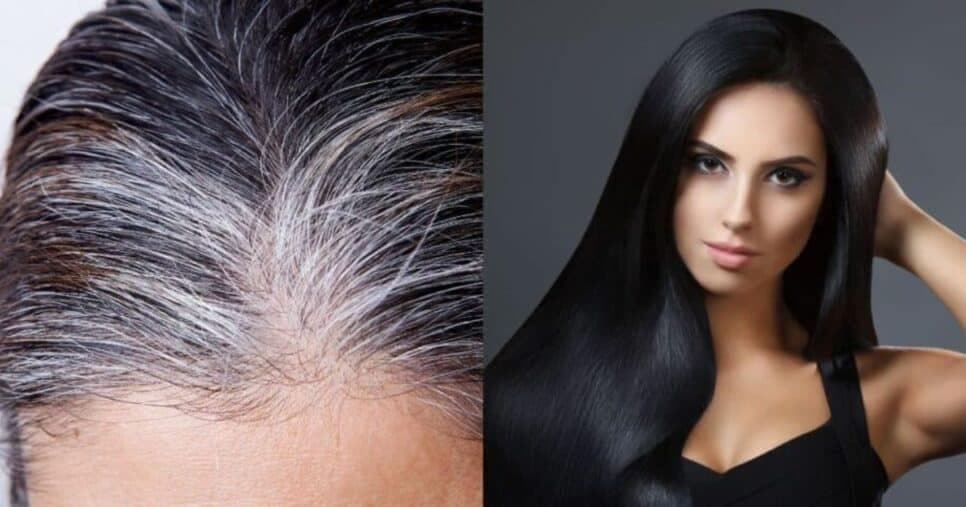 Fim do grisalho: Tinta natural com 2 ingredientes recupera a cor do cabelo branco em minutos