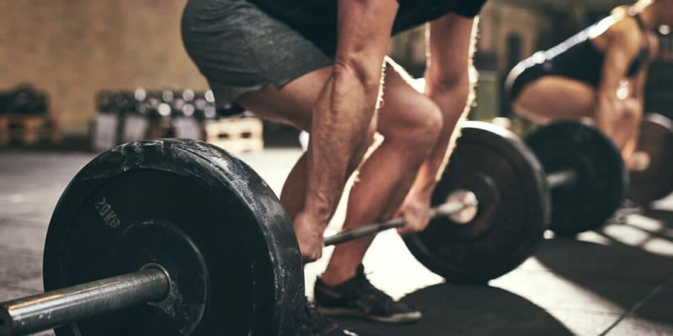 Shake Natural, Academia Shake Natural, Academia