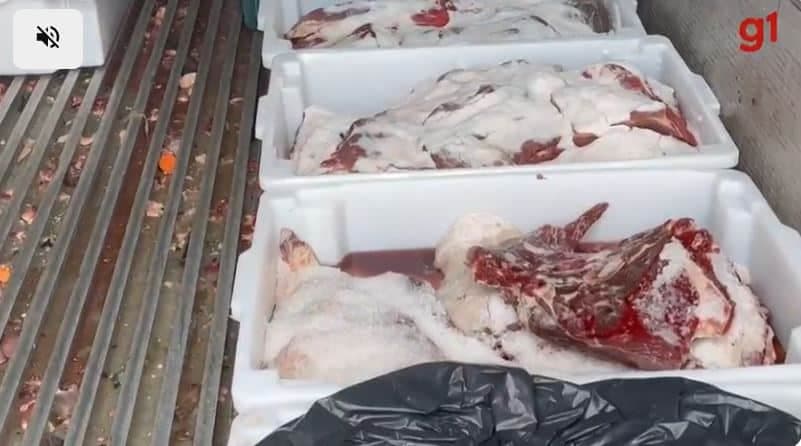 Carne em estado de decomposição (Foto Reprodução/G1) Carne em estado de decomposição (Foto Reprodução/G1)