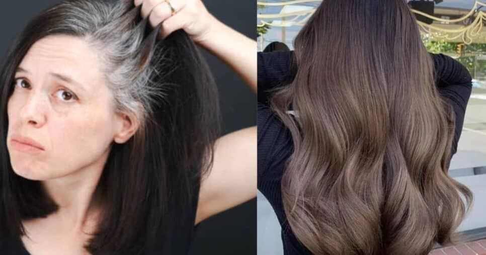 Tinta natural com 2 ingredientes +1 passo infalível reverte até o último fio de grisalho e recupera o cabelo seco
