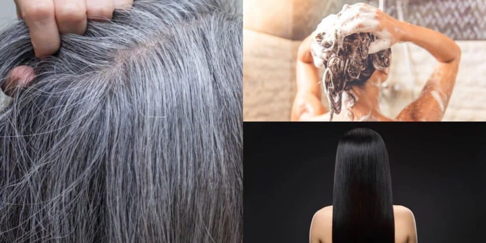 Fim do cabelo grisalho com shampoo caseiro (Reprodução: Montagem TV Foco) Fim do cabelo grisalho com shampoo caseiro (Reprodução: Montagem TV Foco)