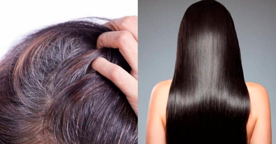 Falência das tintas: 5 dicas definitivas para camuflar o cabelo branco sem química