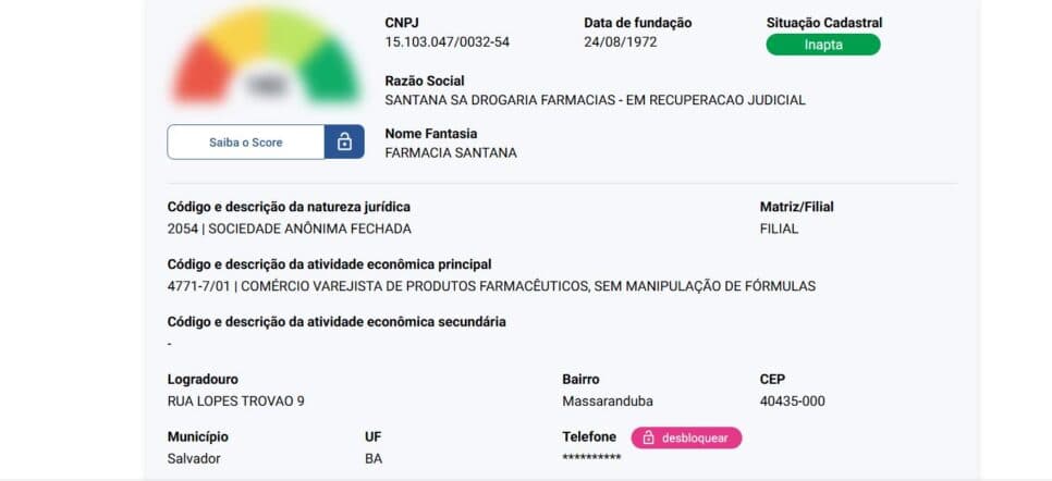 Situação cadastral do CNPJ da rede (Foto Reprodução/Serasa)