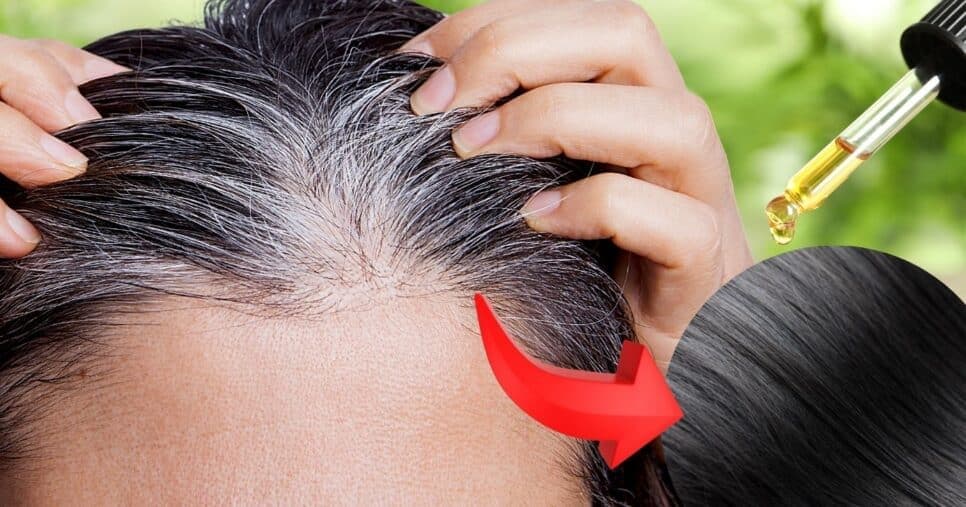 Economize na tinta: 3 óleos naturais para dar fim ao cabelo branco em 10 minutos
