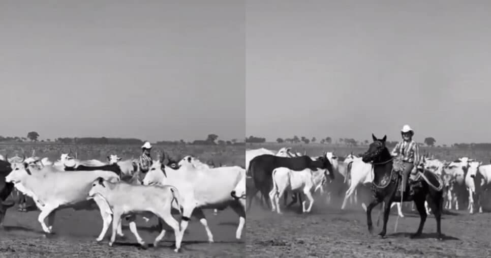 Xororó em sua fazenda Rancho Fundo (Foto: Reprodução/Montagem TV Foco)