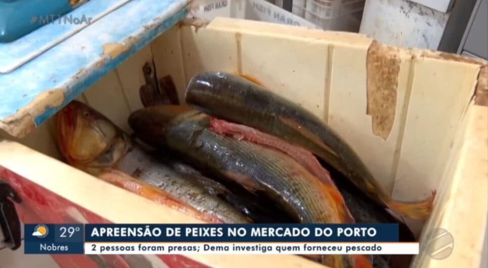 Imagem do post