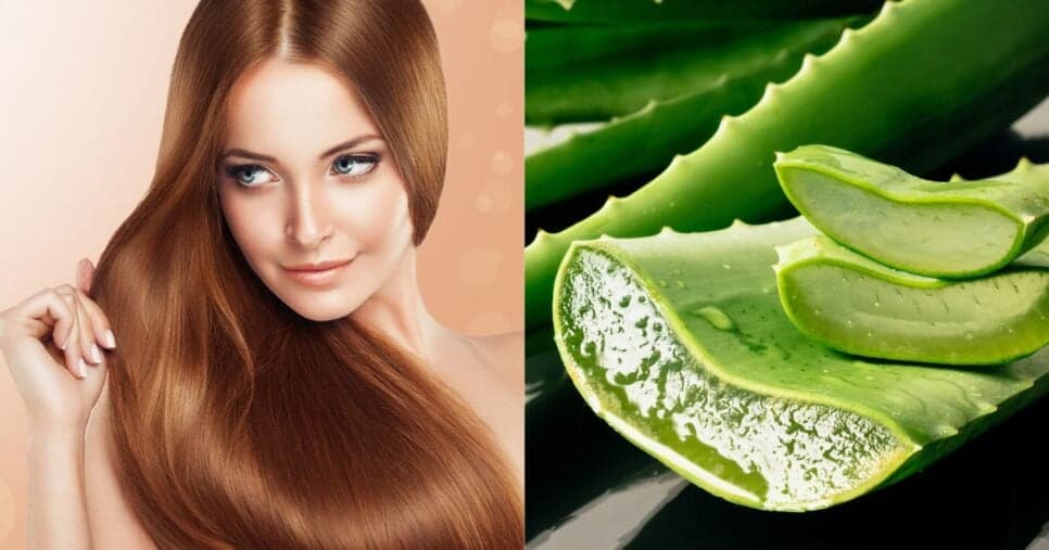 Cabelo perfeito em casa: Como usar a babosa para fazer uma hidratação poderosa e deixar os fios sedosos