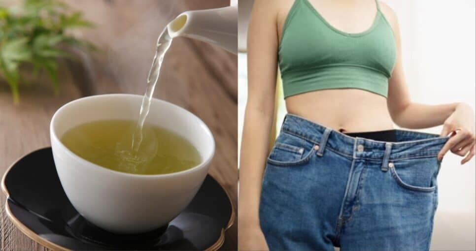 Chá anti gordura com 3 ingredientes deixa barriguinha sequinha - Foto: Montagem Chá anti gordura com 3 ingredientes deixa barriguinha sequinha - Foto: Montagem