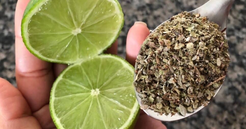 Limão e orégano são ingredientes do chá - Foto: Montagem Limão e orégano são ingredientes do chá - Foto: Montagem