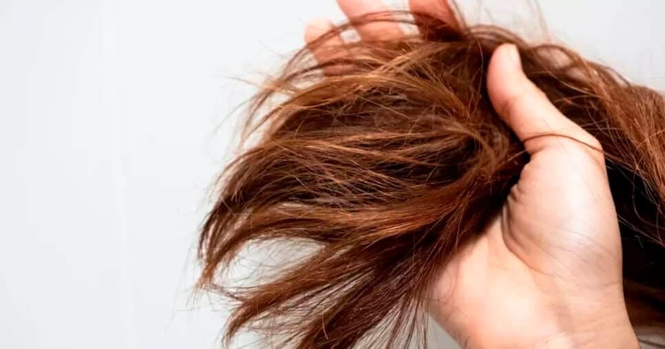 Adeus pontas secas: Hábito simples com a escova transforma o cabelo em poucas semanas