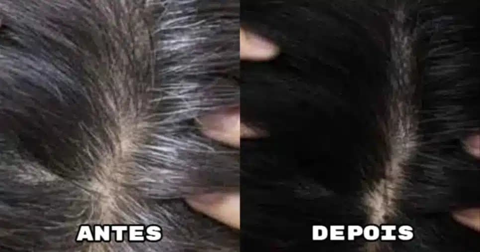 Cientistas mostram solução eficaz e natural para cobrir o cabelo branco sem necessidade de tintas