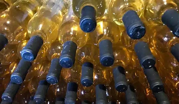 Valinhos conta com uma série de vinícolas (Foto Reprodução/Chão de Pedra) Valinhos conta com uma série de vinícolas (Foto Reprodução/Chão de Pedra)