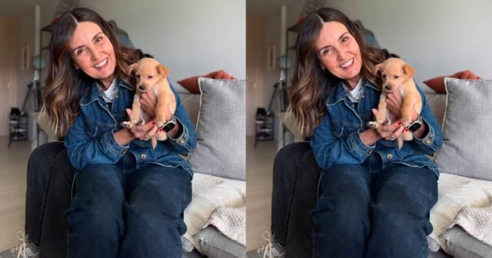Fátima Bernardes em registro com o novo integrante da família, William - Foto: Instagram Fátima Bernardes em registro com o novo integrante da família, William - Foto: Instagram