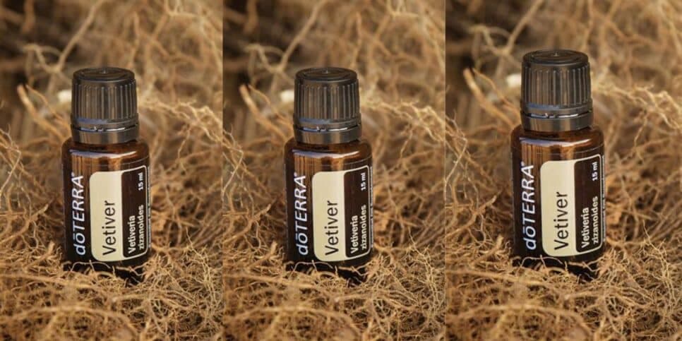 Óleo de Vetiver (Reprodução: Canva) Óleo de Vetiver (Reprodução: Canva)