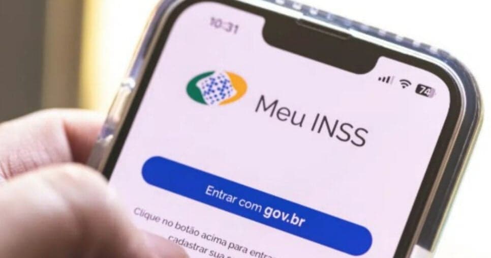 Meu INSS- Foto: Internet