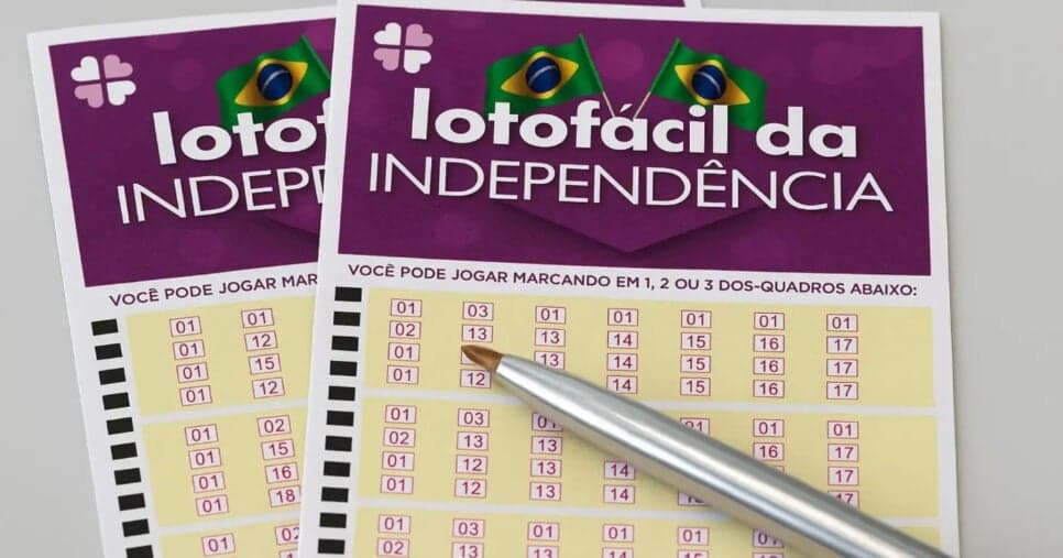 Os 15 números mais sorteados na Lotofácil da Independência (Foto: Divulgação) Os 15 números mais sorteados na Lotofácil da Independência (Foto: Divulgação)