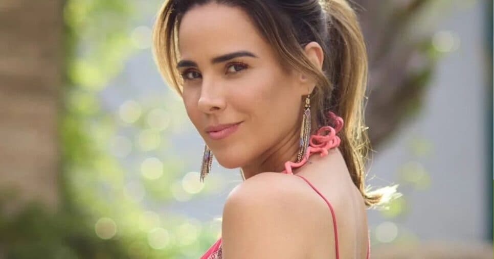 Traição? Wanessa Camargo tem pegação com cantor galã em banheiro de avião quando era casada