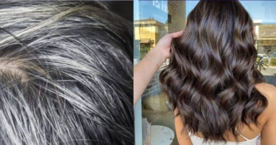 Adeus, grisalho: Óleo natural cobre o cabelo branco e faz 60+ economizarem com o salão