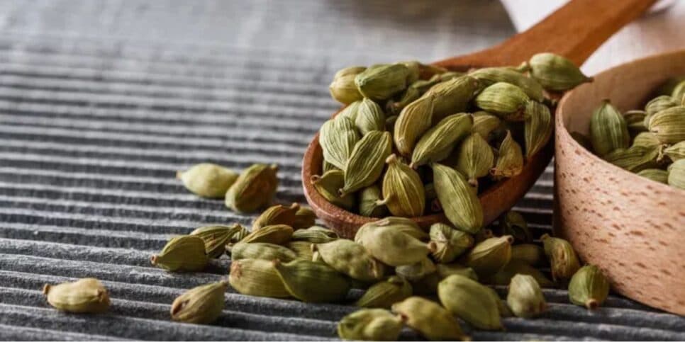 Semente do cardamomo é um grande auxiliar digestivo (Reprodução: Divulgação) Semente do cardamomo é um grande auxiliar digestivo (Reprodução: Divulgação)