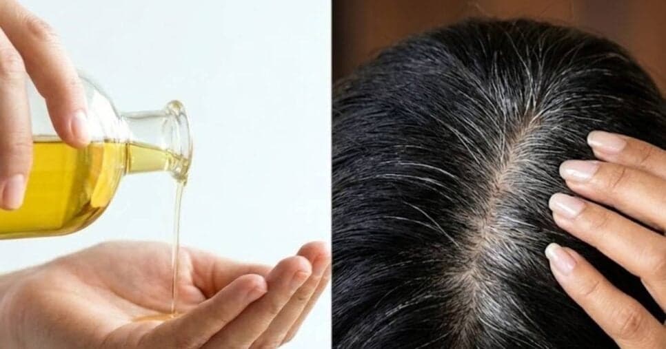 Óleo natural dá fim ao cabelo grisalho e reverte até o último fio branco sem precisar de tinta