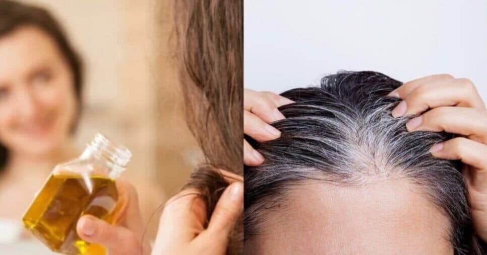 Óleo natural acaba com o cabelo grisalho e reverte até o último fio branco - Montagem/TV FOCO Óleo natural acaba com o cabelo grisalho e reverte até o último fio branco - Montagem/TV FOCO