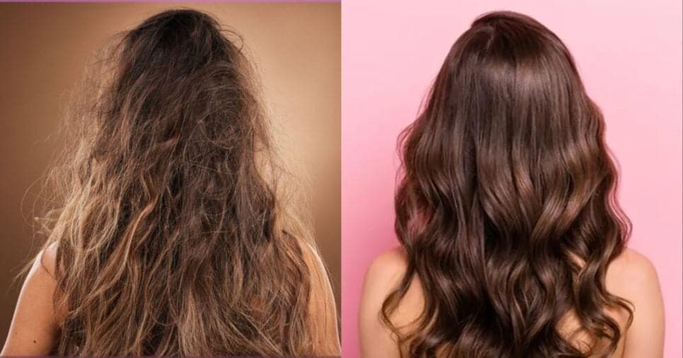 Cabelo hidratado e bem nutrido (Foto: Reprodução/ Internet) Cabelo hidratado e bem nutrido (Foto: Reprodução/ Internet)