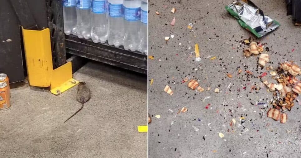 Rato e sujeira em supermercado (Foto: Reprodução / Redes sociais) Rato e sujeira em supermercado (Foto: Reprodução / Redes sociais)