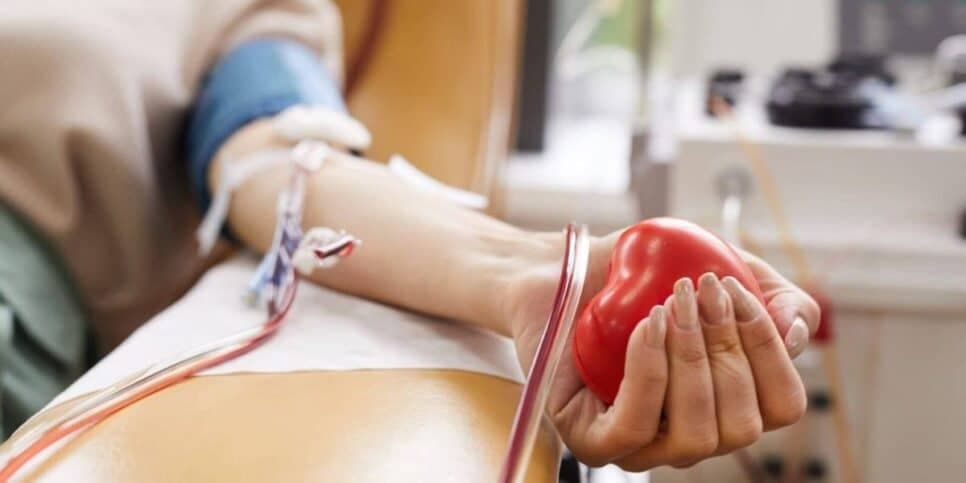 Doar sangue pode garantir meia-entrada na Bahia (Reprodução: Divulgação)