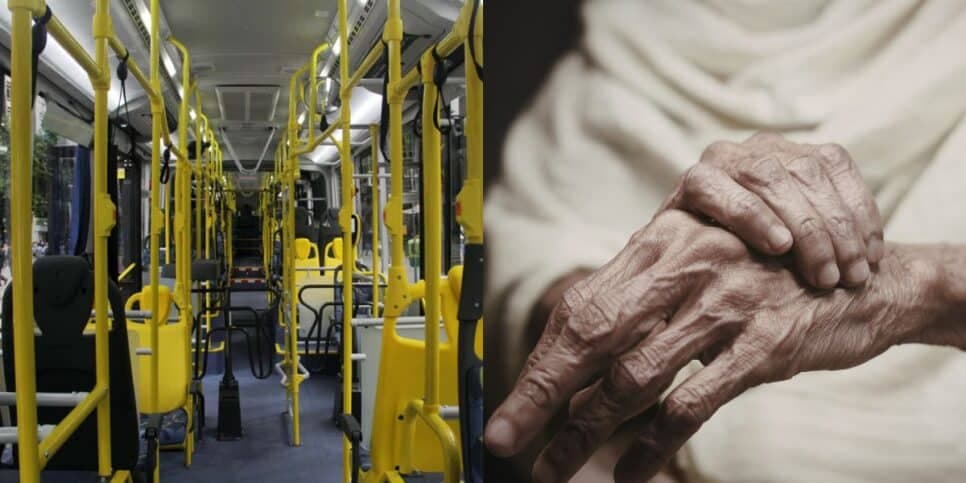 3 benefícios garantidos aos idosos no transporte (Reprodução: Montagem TV Foco) 3 benefícios garantidos aos idosos no transporte (Reprodução: Montagem TV Foco)