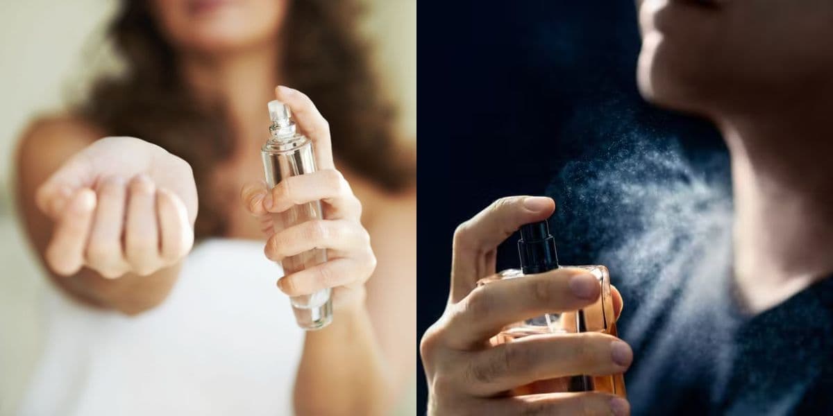 Truques para fazer o perfume durar mais que importado (Reprodução: Montagem TV Foco) Truques para fazer o perfume durar mais que importado (Reprodução: Montagem TV Foco)