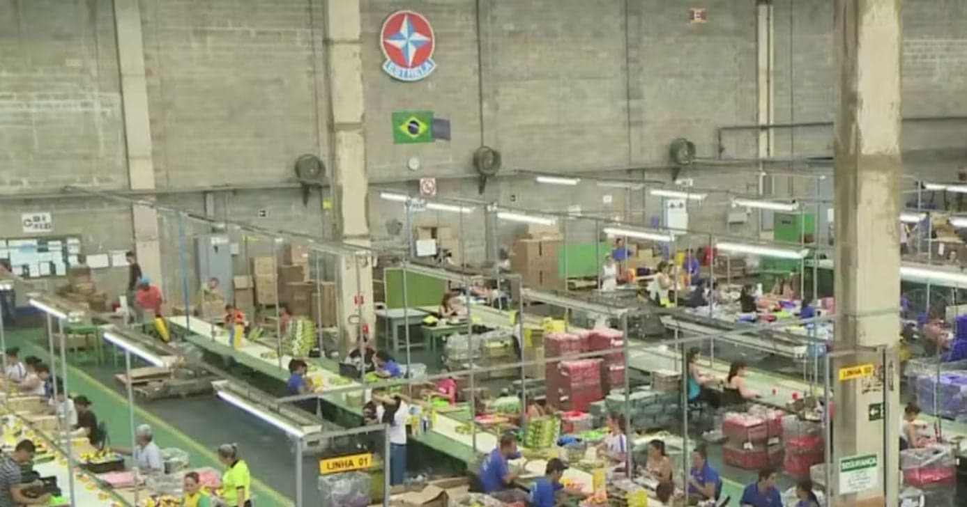 Fábrica da Estrela (Foto: Reprodução/EPTV)