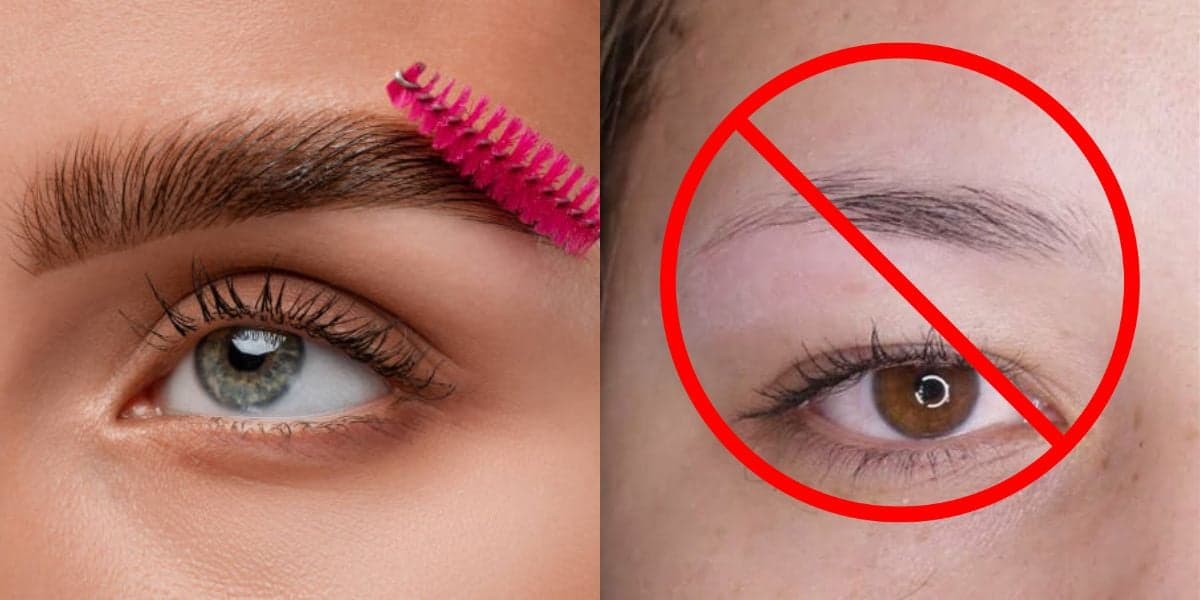 4 dicas para preencher sobrancelha naturalmente (Reprodução: Montagem TV Foco) 4 dicas para preencher sobrancelha naturalmente (Reprodução: Montagem TV Foco)