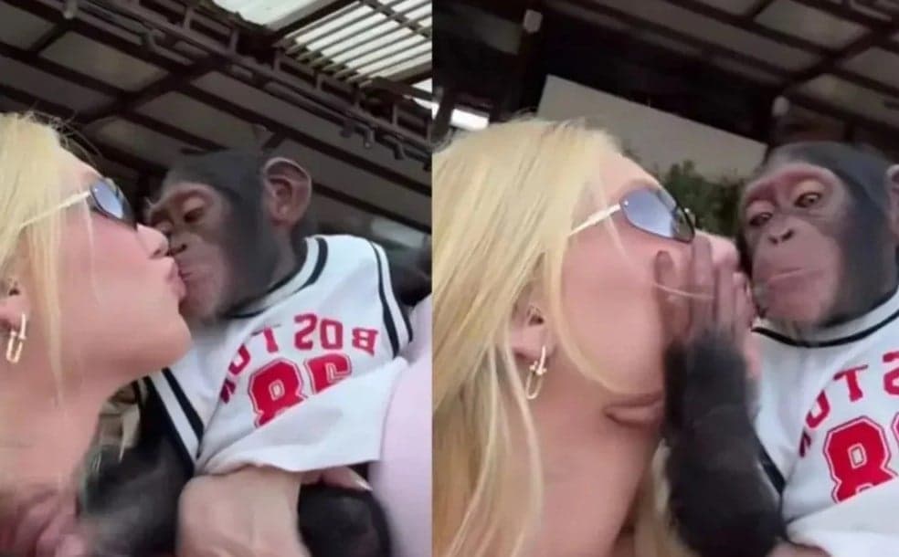 Virginia Fonseca publicou video com macaco (Foto: Reprodução / Instagram) Virginia Fonseca publicou video com macaco (Foto: Reprodução / Instagram)