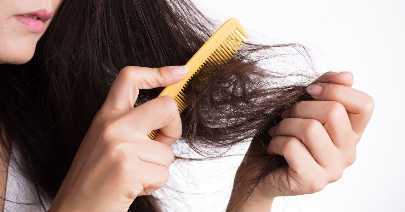 Cabelo embaraçado - Foto: Montagem