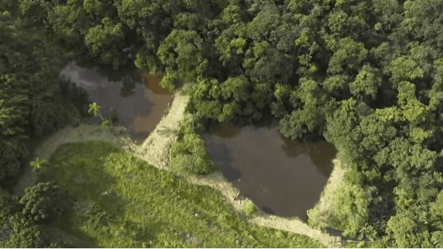 Detalhes da fazenda (Foto: Reprodução / TV Globo)
Detalhes da fazenda (Foto: Reprodução / TV Globo)
