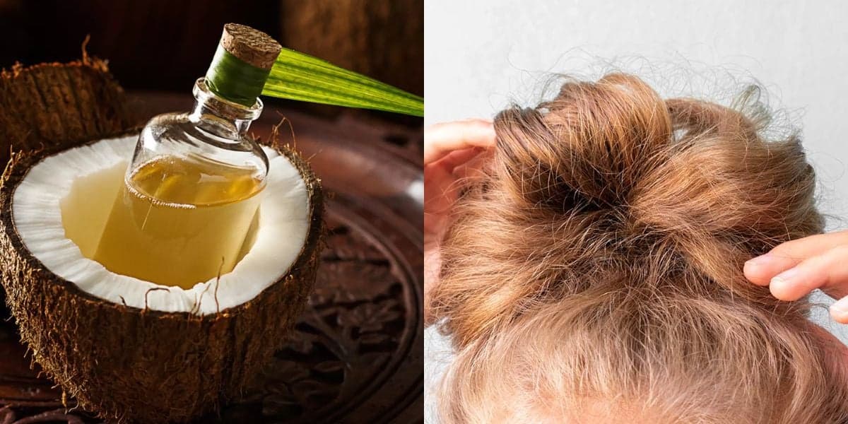 Cabelo: O jeito certo de usar óleo de coco no banho para eliminar o frizz