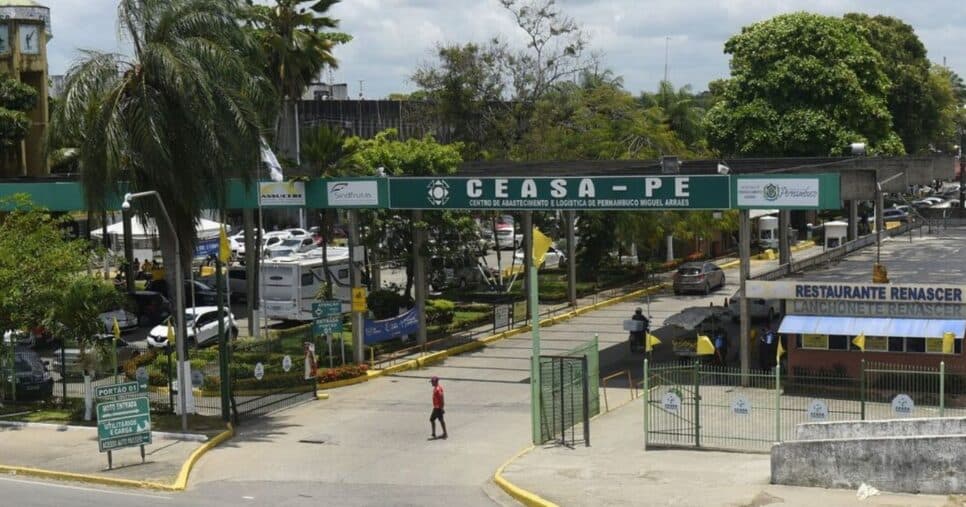 Os queijos eram vendidos como seguros até para comerciantes do Ceasa de Recife (Foto Reprodução/Folha Pê) Os queijos eram vendidos como seguros até para comerciantes do Ceasa de Recife (Foto Reprodução/Folha Pê)