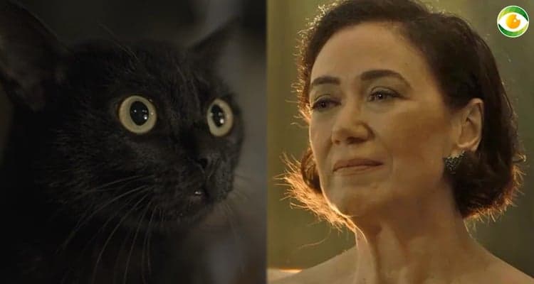 Vilã e gato se enfrentaram em O Sétimo Guardião Vilã e gato se enfrentaram em O Sétimo Guardião