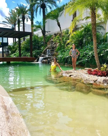 Imagem do post Imagem do post