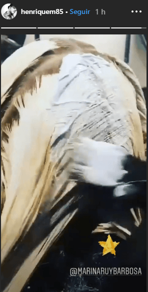 http://tvfoco.uai.com.br/wp-content/uploads/2015/05/Daniela-Mercury.jpg http://tvfoco.uai.com.br/wp-content/uploads/2015/05/Daniela-Mercury.jpg