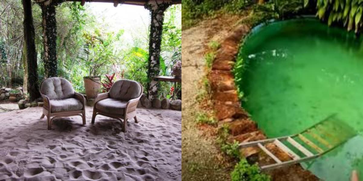 Imagem do post Imagem do post