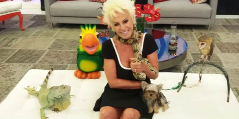 Ana Maria Braga com animeis exóticos no programa 'Mais Você' na Globo (Reprodução: Globo), Ana Maria Braga com animeis exóticos no programa 'Mais Você' na Globo (Reprodução: Globo),
