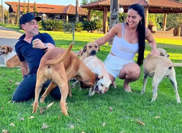 Graciele Lacerda e Zezé Di Camargo com os cachorros que adotaram (Foto: Reprodução) Graciele Lacerda e Zezé Di Camargo com os cachorros que adotaram (Foto: Reprodução)