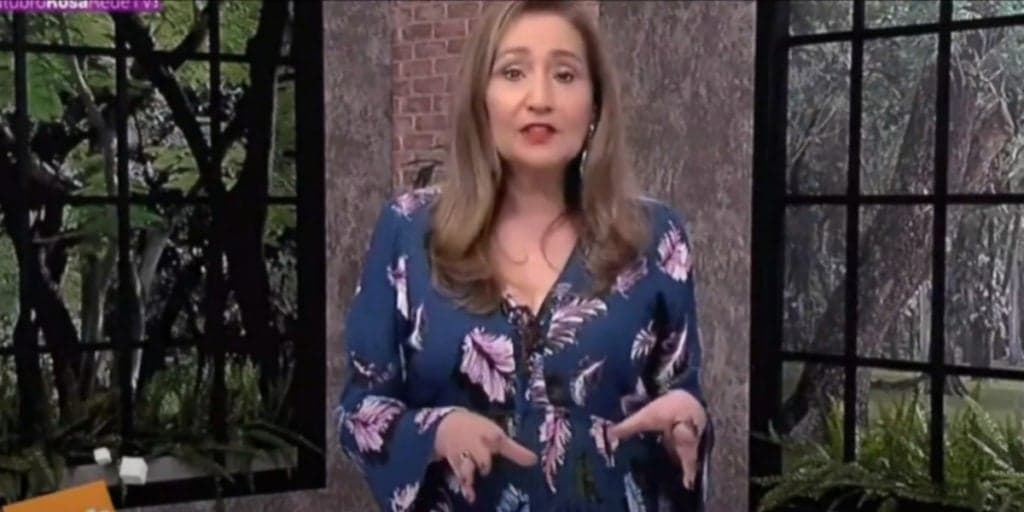 Sonia Abrão abre A Tarde é Sua como nunca, entra com notícia impactante e faz apelo: "É a única saída"
