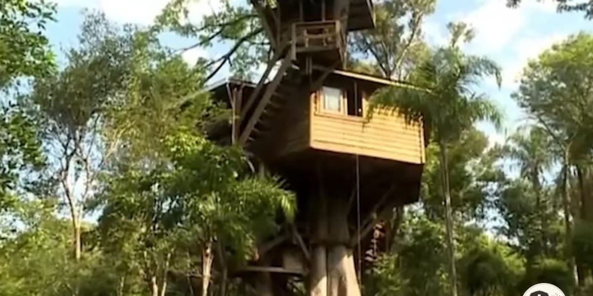 Fazenda Galvão Bueno (Reprodução: Youtube) Fazenda Galvão Bueno (Reprodução: Youtube)