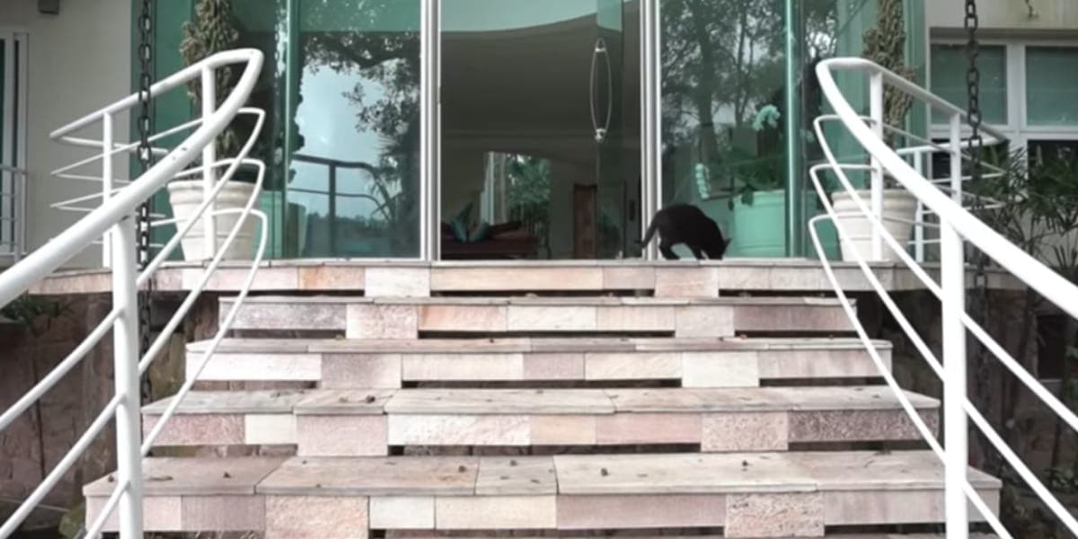Bela escada que dá acesso a casa (Reprodução: Youtube) Bela escada que dá acesso a casa (Reprodução: Youtube)